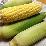 とうもろこし