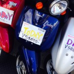 image (51) image (51)