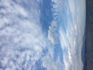 IMG_0080