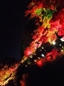 IMG_0865